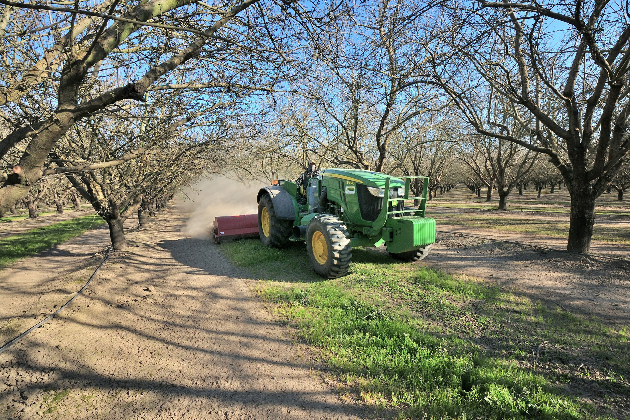 Tree Nuts