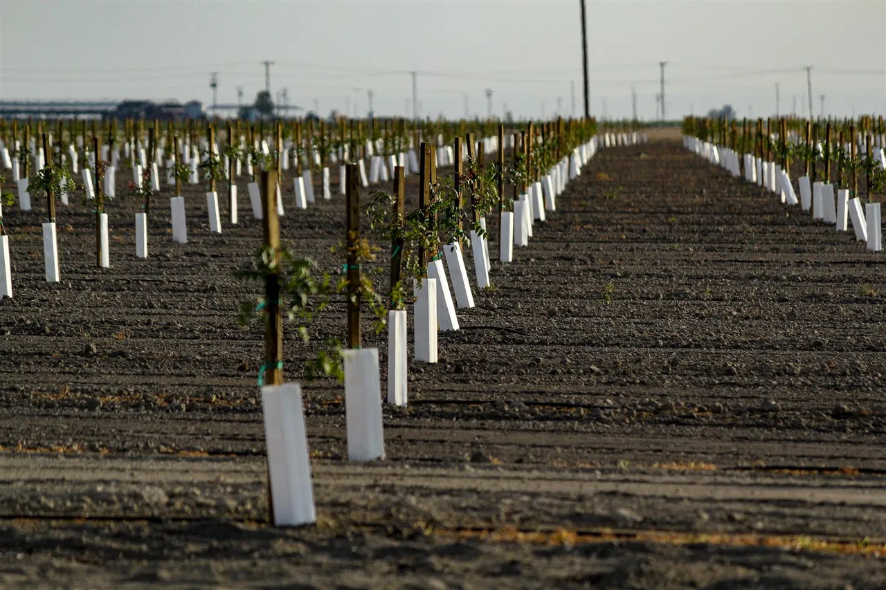 Nursery & Specialty Plant Production